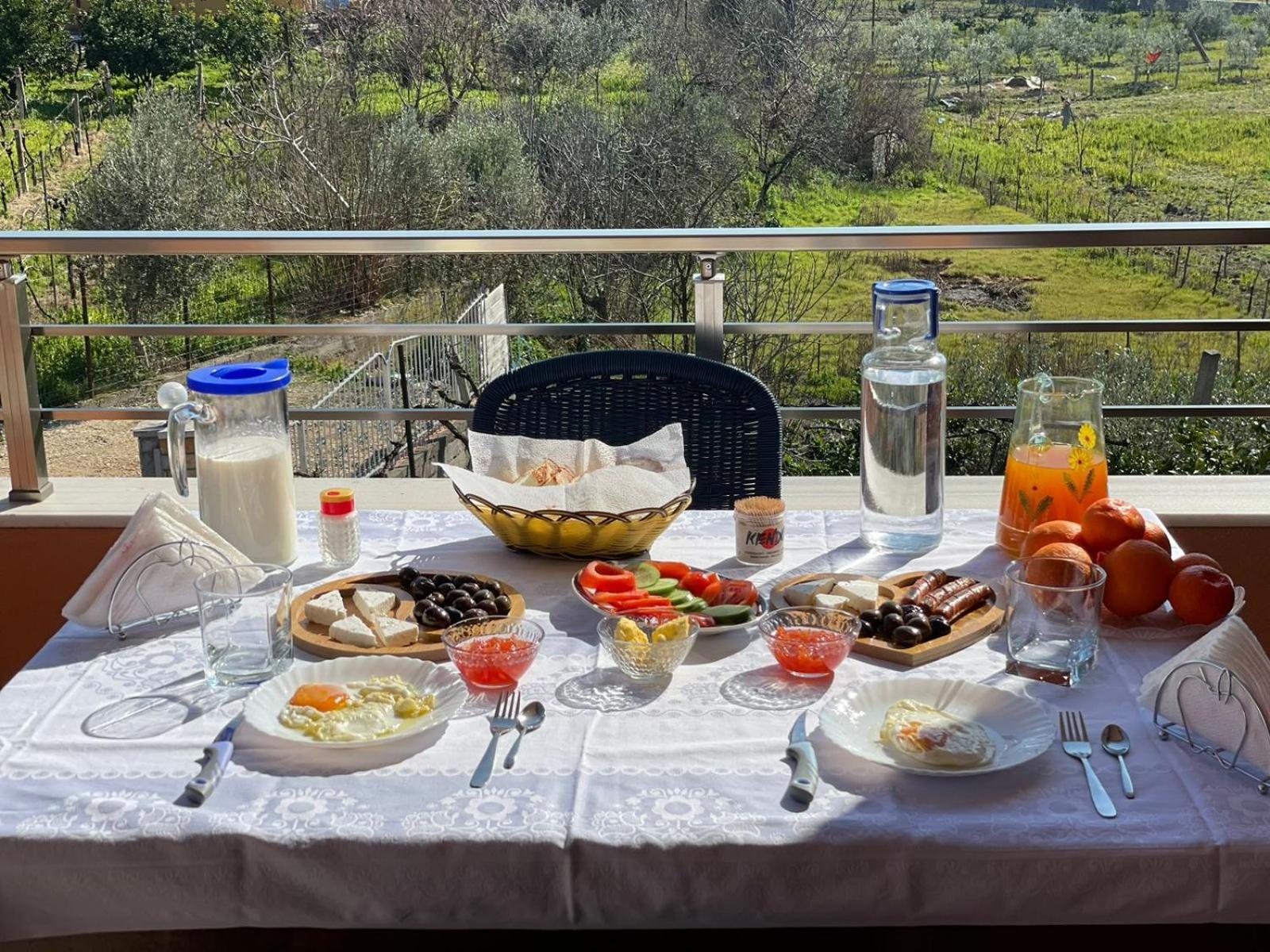 Harmony Villa Berat Exterior foto