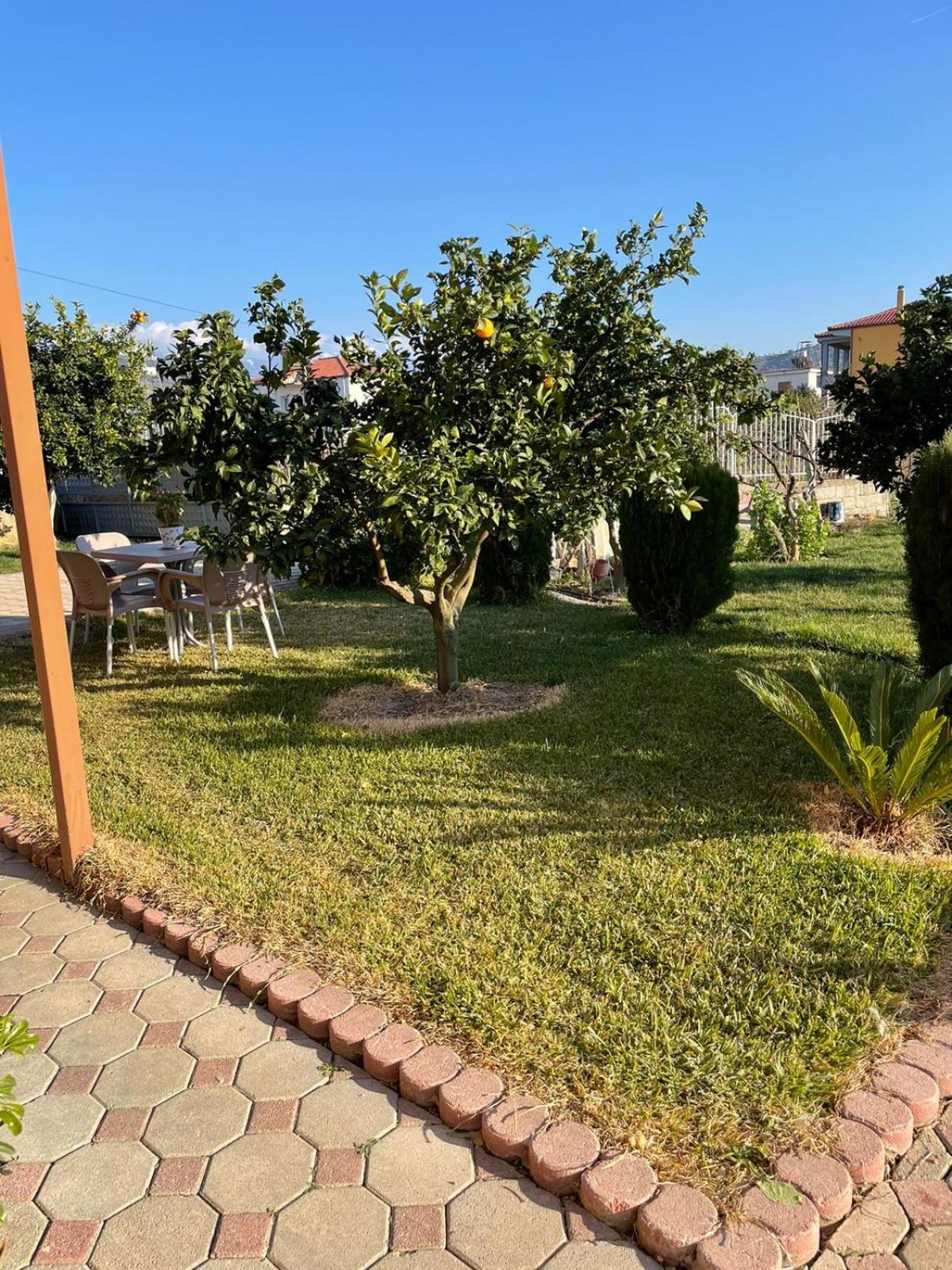 Harmony Villa Berat Exterior foto